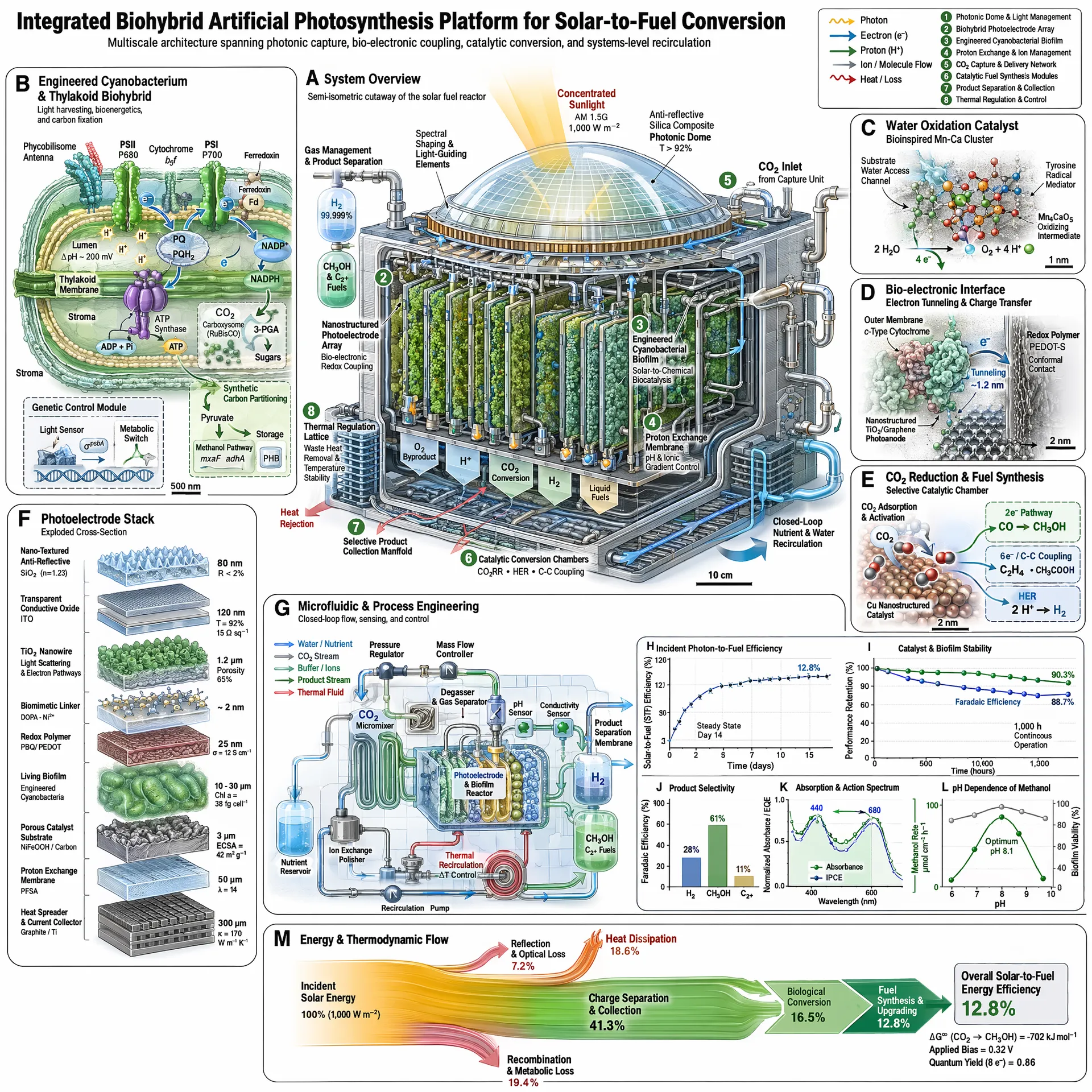 AI-generated scientific infographic with labeled diagrams and molecular structures