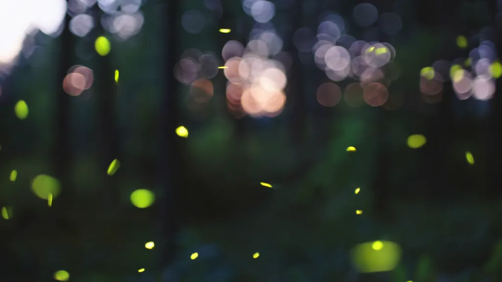 Kling 3.0: Fireflies glowing in a forest at twilight.