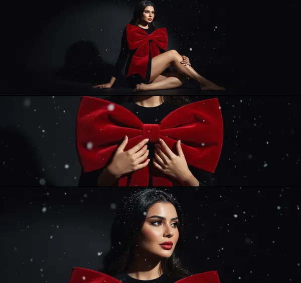 AI Yilbasi Fotograf Olusturucu stil önizleme 5 - christmas