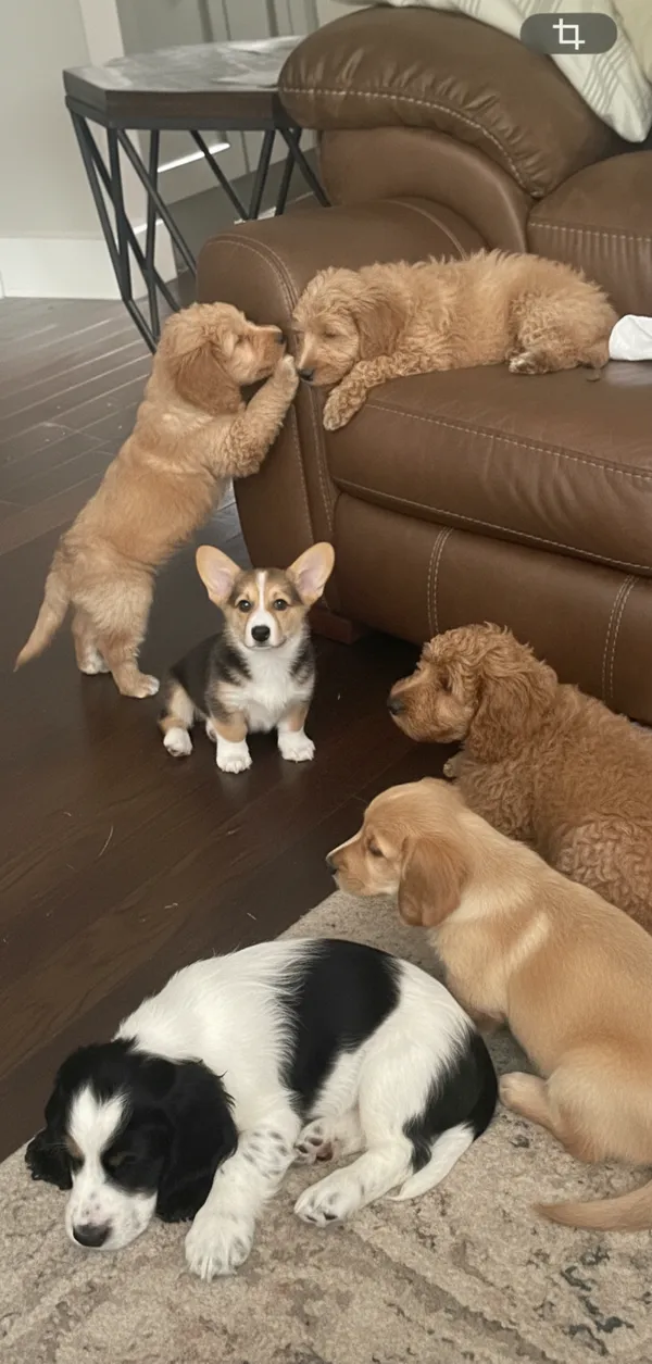 ИИ генератор фото детства фото из галереи 16 - creative