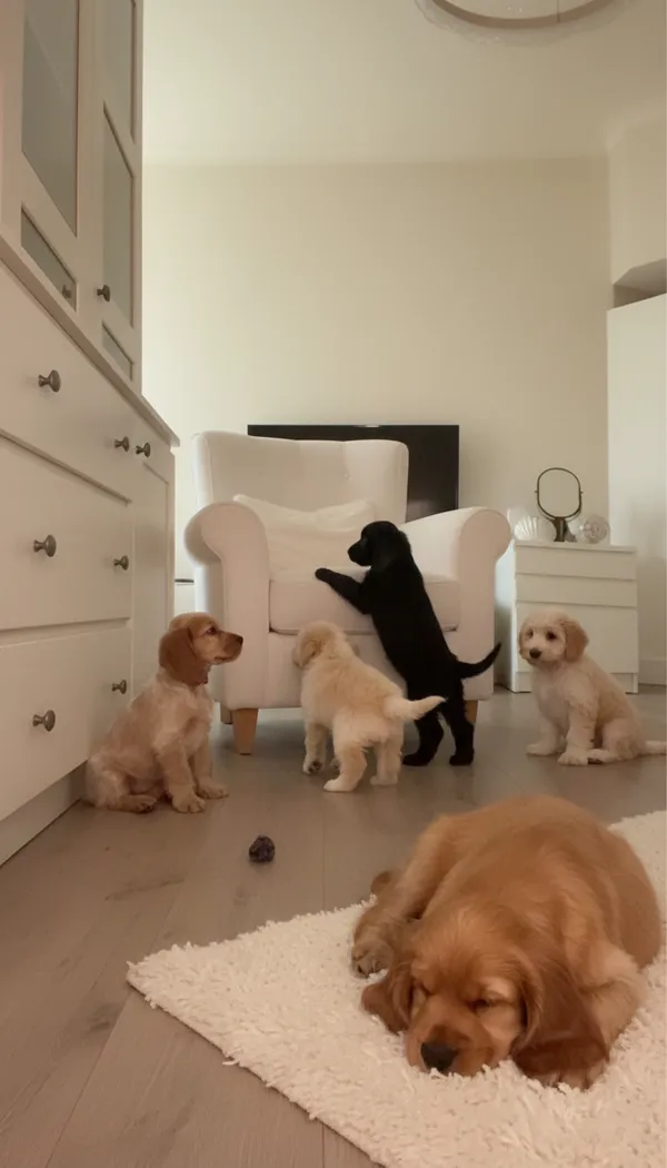 ИИ генератор фото детства фото из галереи 30 - creative