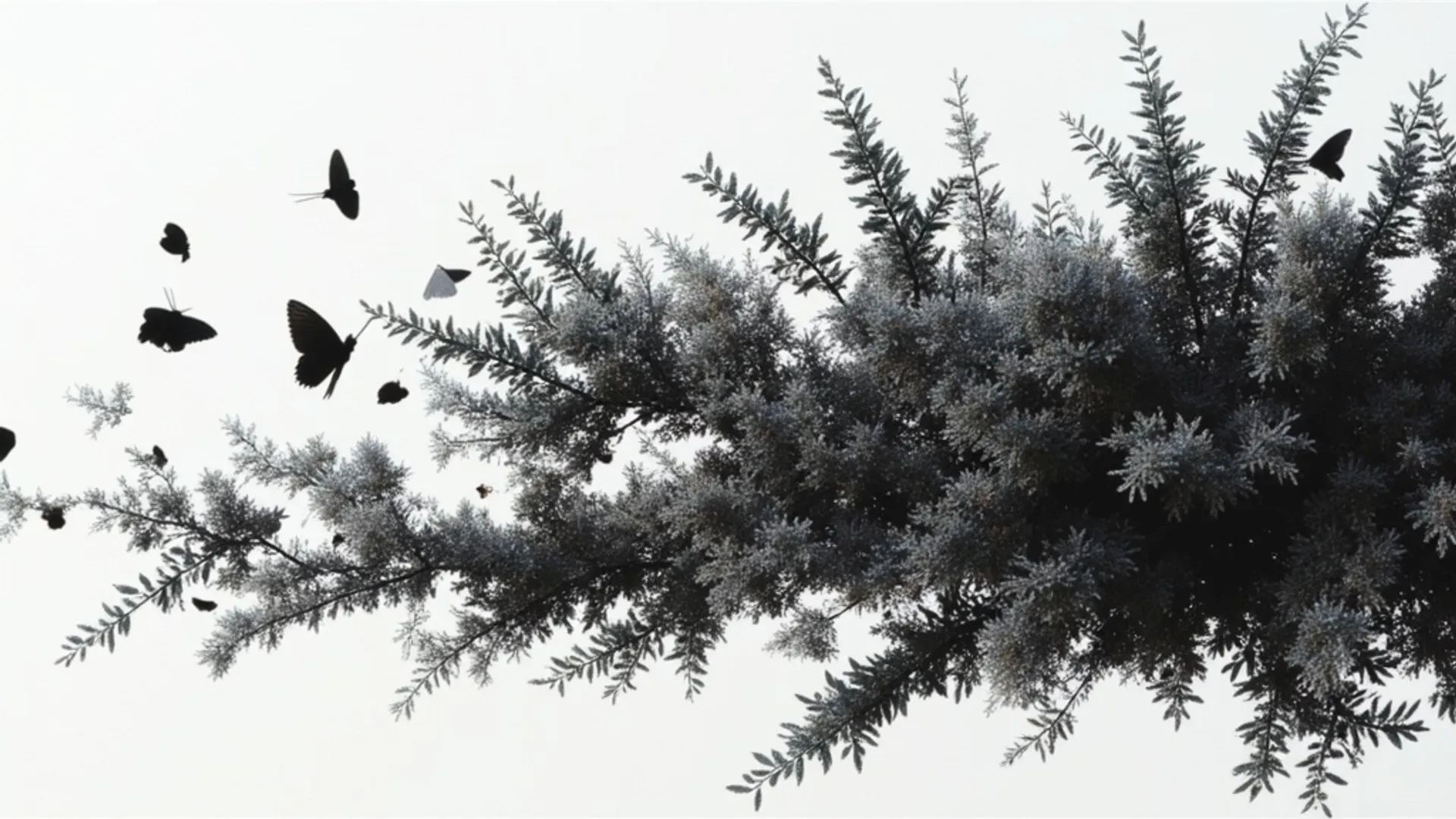 Generate images with transparent backgrounds using Ideogram Transparent model