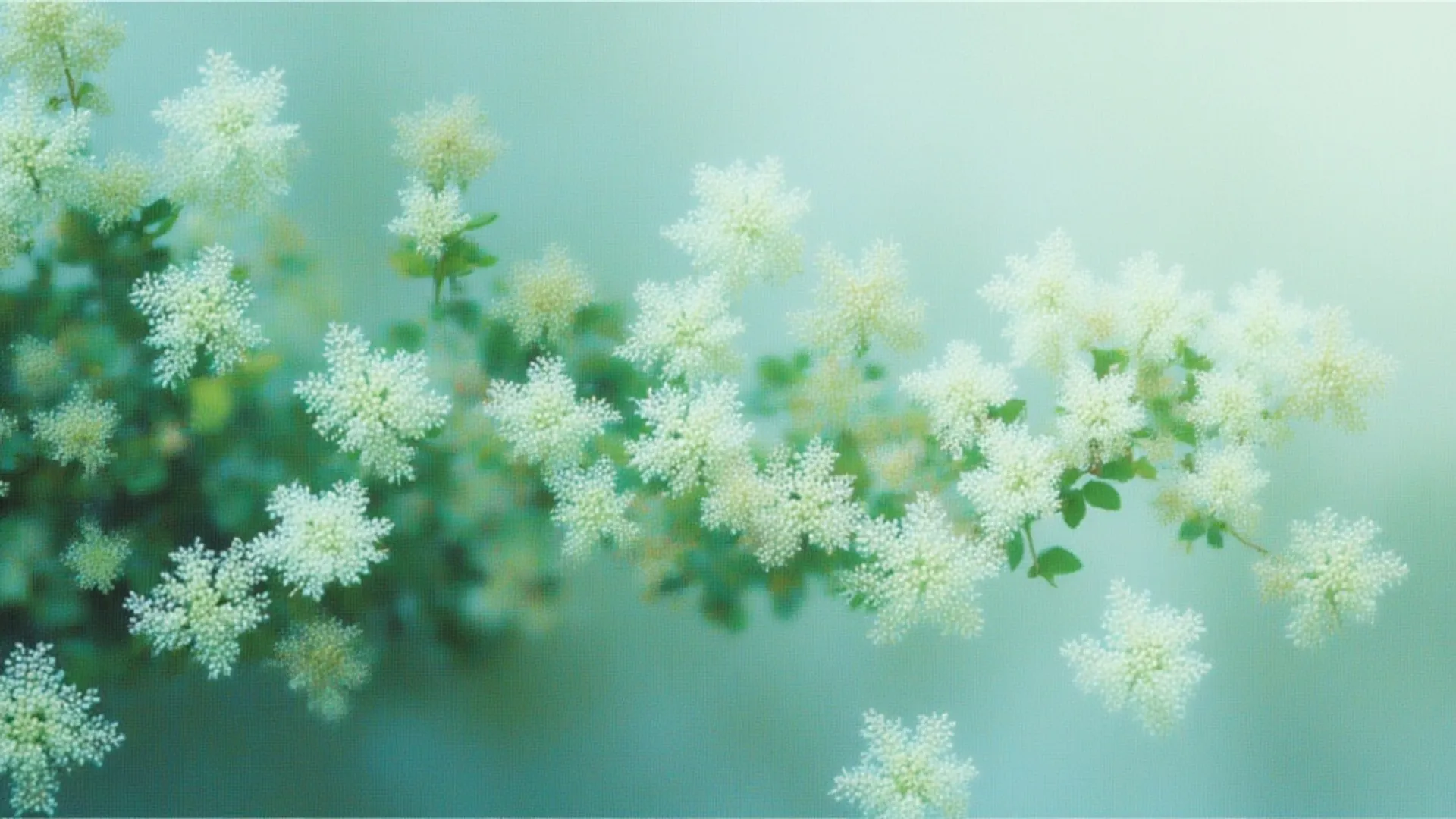 Generate 3D models from text descriptions using Tripo P1.