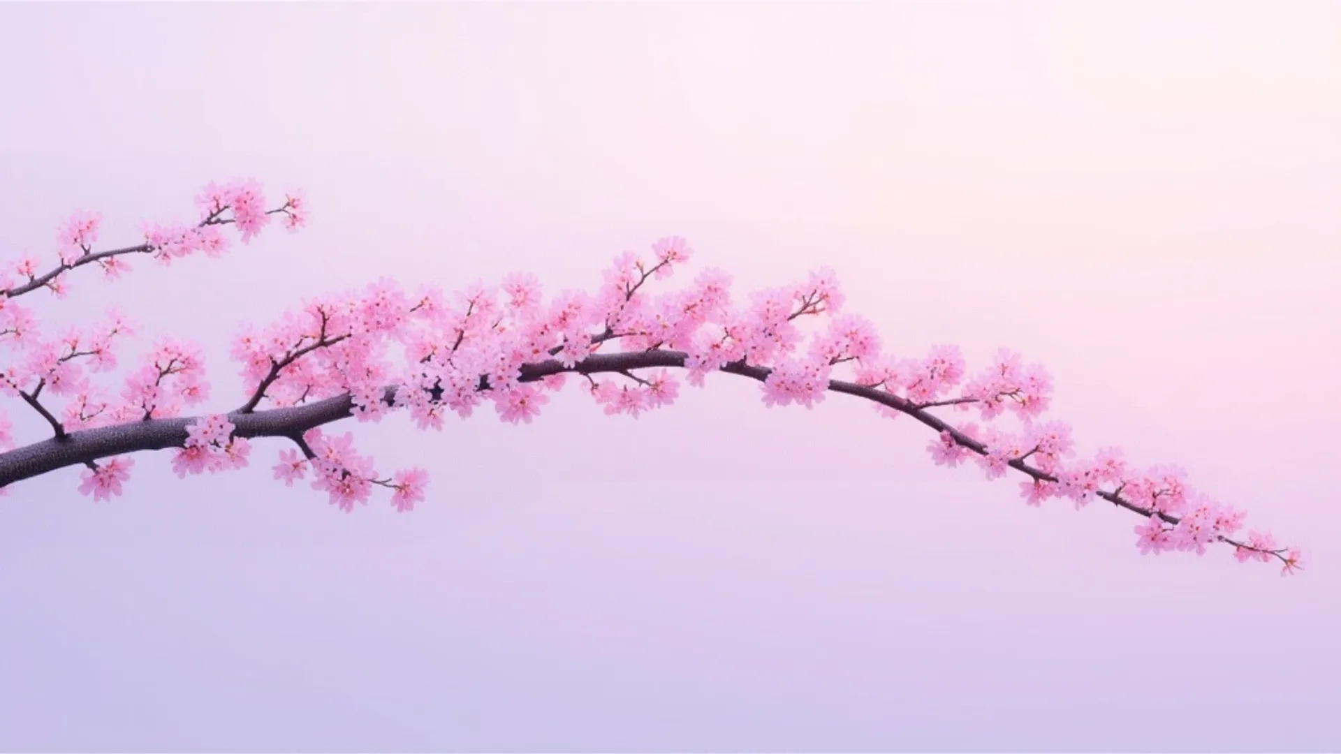 High-quality text-to-image model by Baidu. Supports English, Chinese, and Japanese prompts with built-in prompt expansion.