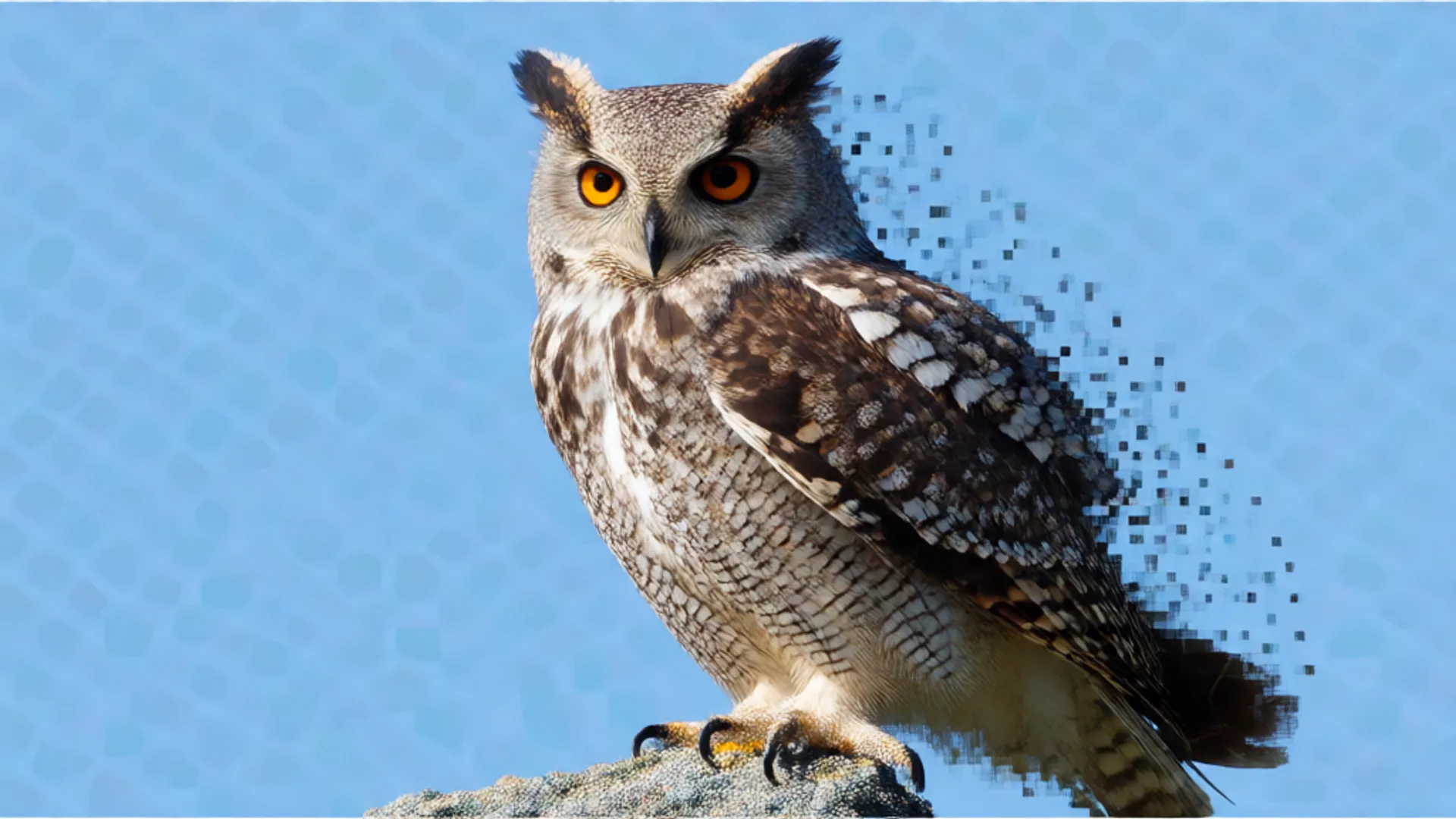 FLUX.1 Image-to-Image is a high-performance endpoint for the FLUX.1 [dev] model that enables rapid transformation of existing images, delivering high-quality style transfers and image modifications with the core FLUX capabilities.