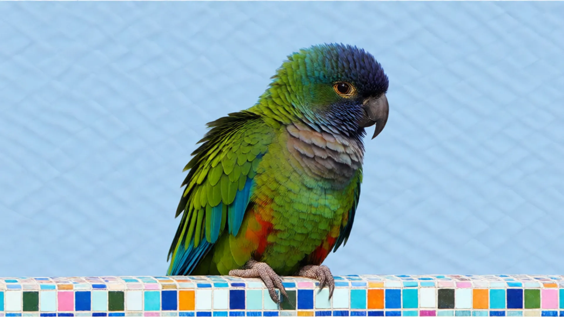 Use ffmpeg capabilities to merge 2 or more videos.