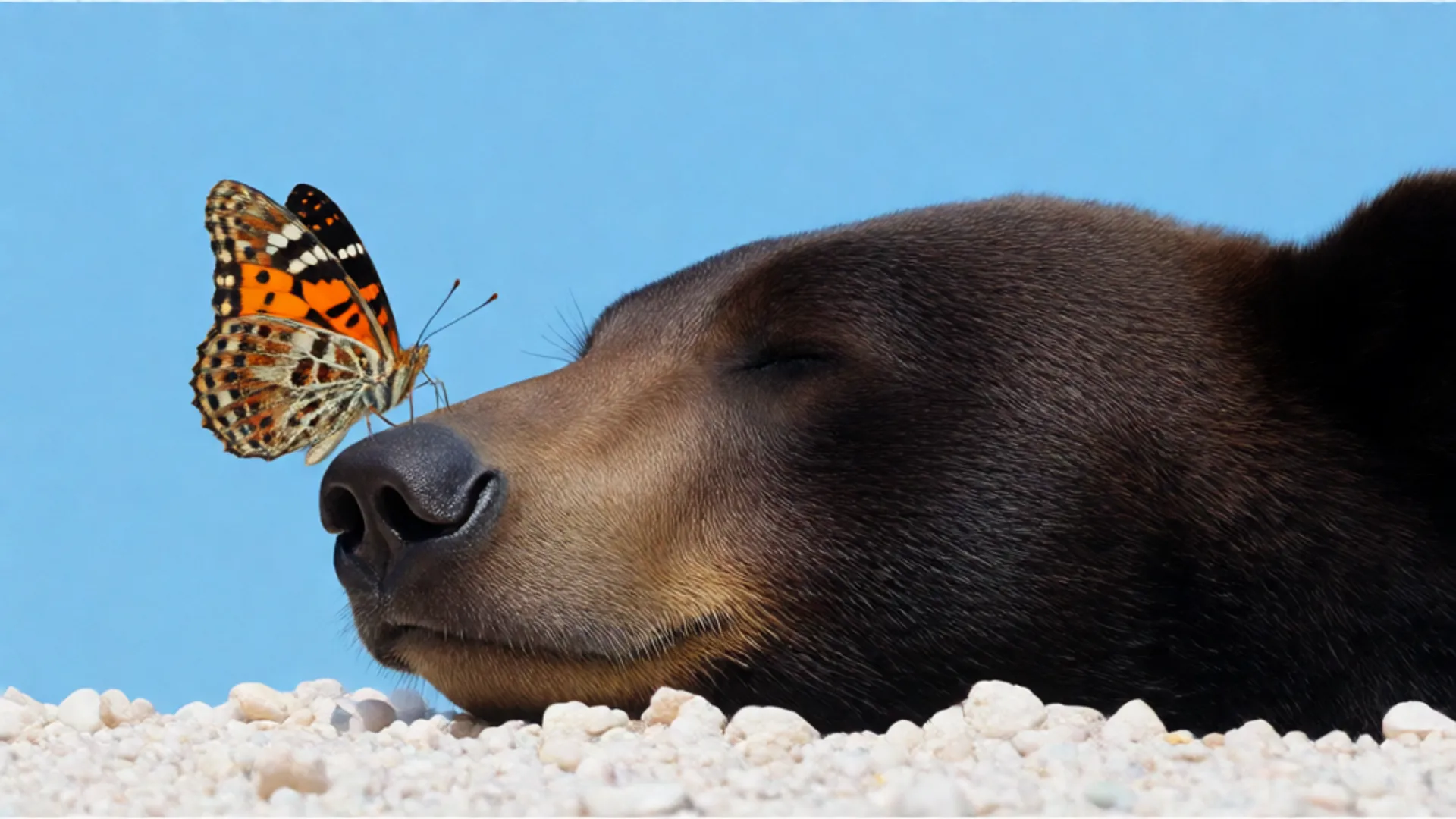 Photorealistic Image-to-Image