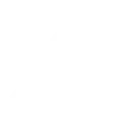 Black Forest Labs logo