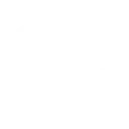 Bria AI logo