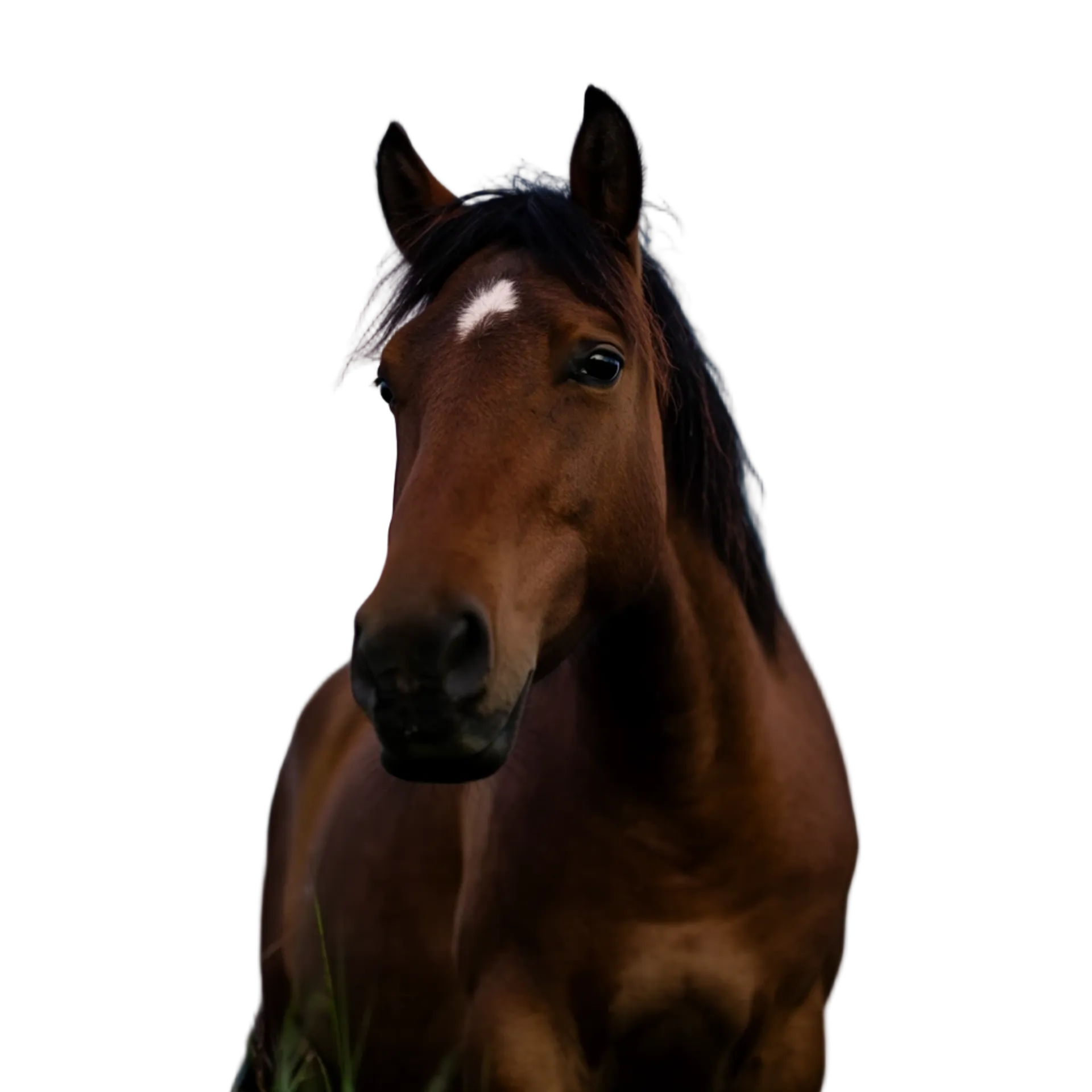 Image generated by fal.ai