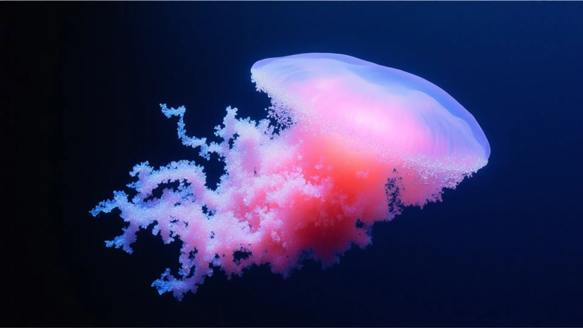 Generate text embeddings using OpenAI-compatible API. Access embedding models like text-embedding-3-small, text-embedding-3-large (OpenAI), and other embedding models available through OpenRouter. Drop-in replacement for the OpenAI embeddings API. Powered by OpenRouter.